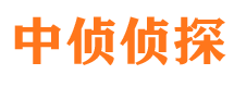 铜川市婚姻调查